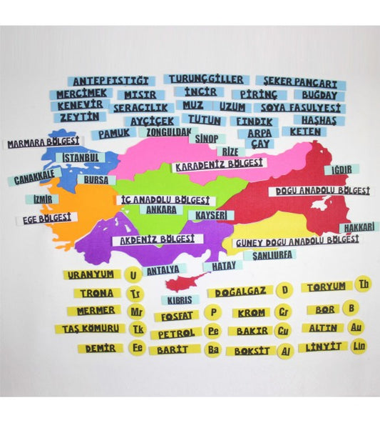 TARIM ÜRÜNLERİ VE MADENLER HARİTASI (RENKLİ)