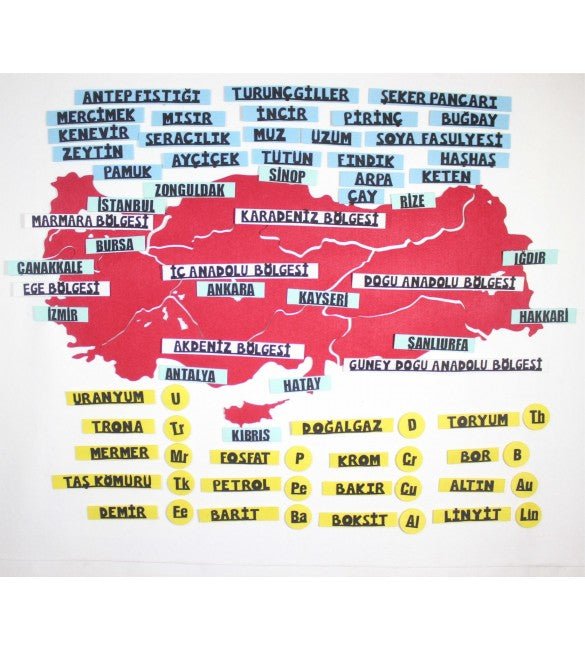 TARIM ÜRÜNLERİ VE MADENLER HARİTASI (TEK RENK)