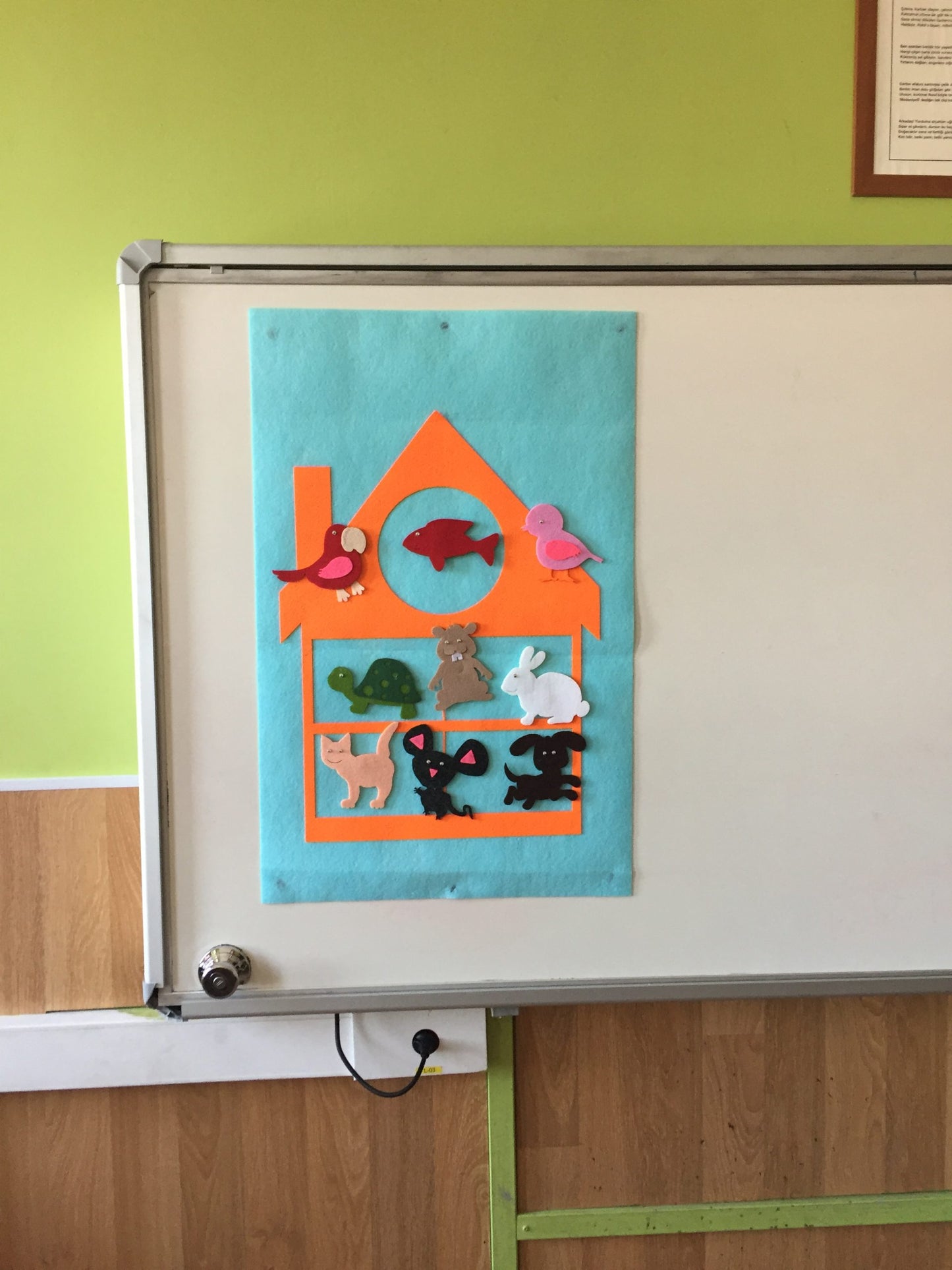 EV TEMALI ZEMİN VE EVCİL HAYVANLAR