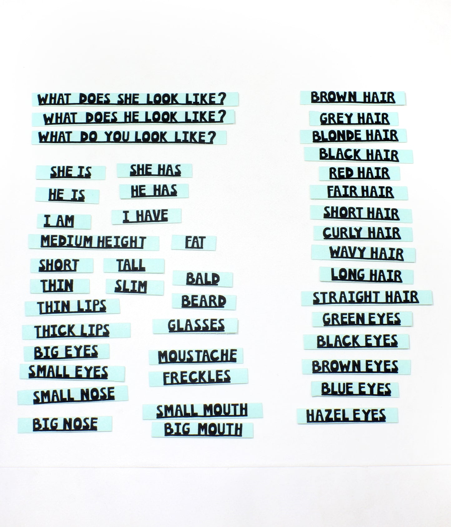 Dış görünüş seti