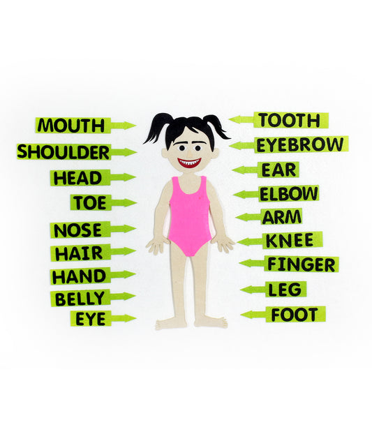 Body parts (Kız çocuk temalı)