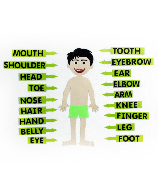 Body parts (Erkek çocuk temalı)